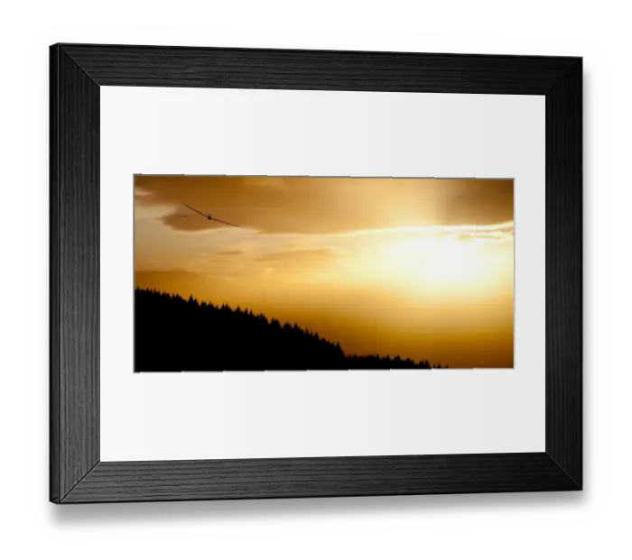 Framed Print : Glider at sunset Framed Print : Glider at sunset