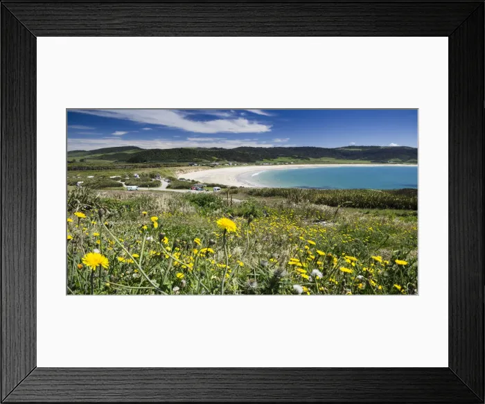 Framed Print : Curio Bay, The Catlins, South Island, New Zealand Framed Print : Curio Bay, The Catlins, South Island, New Zealand