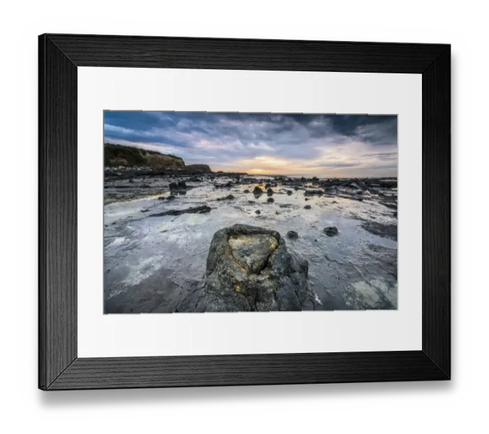 Framed Print : Petrified tree trunks, Petrified podocarp forest, evening mood at the sea, rocky coast, Curio Bay, The Catlins, South Island, New Zealand Framed Print : Petrified tree trunks, Petrified podocarp forest, evening mood at the sea, rocky coast, Curio Bay, The Catlins, South Island, New Zealand