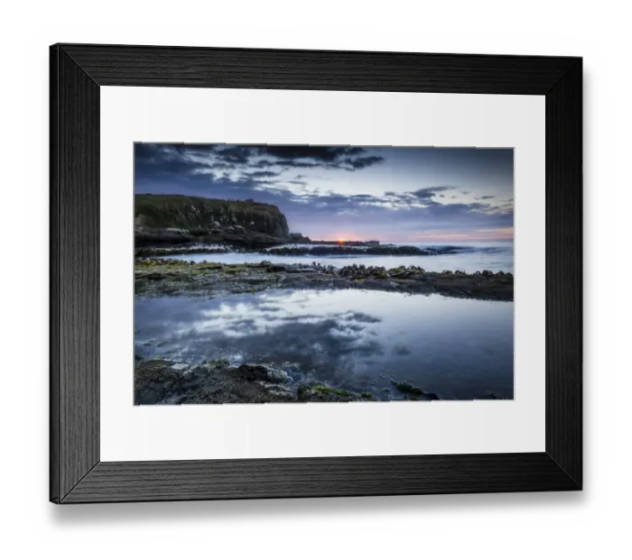 Framed Print : Evening mood at the sea, seaweed, rocky coast, Curio Bay, The Catlins, South Island, New Zealand Framed Print : Evening mood at the sea, seaweed, rocky coast, Curio Bay, The Catlins, South Island, New Zealand