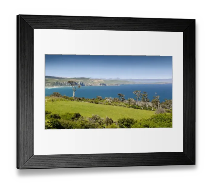 Framed Print : Coastline with pasture land and Kanuka trees -Kunzea ericoides-, Catlins, South Island, New Zealand Framed Print : Coastline with pasture land and Kanuka trees -Kunzea ericoides-, Catlins, South Island, New Zealand