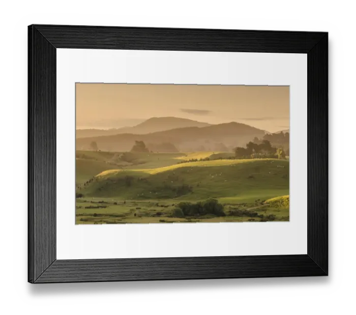 Framed Print : Hilly landscape at the Catlins, South Island, New Zealand, Oceania