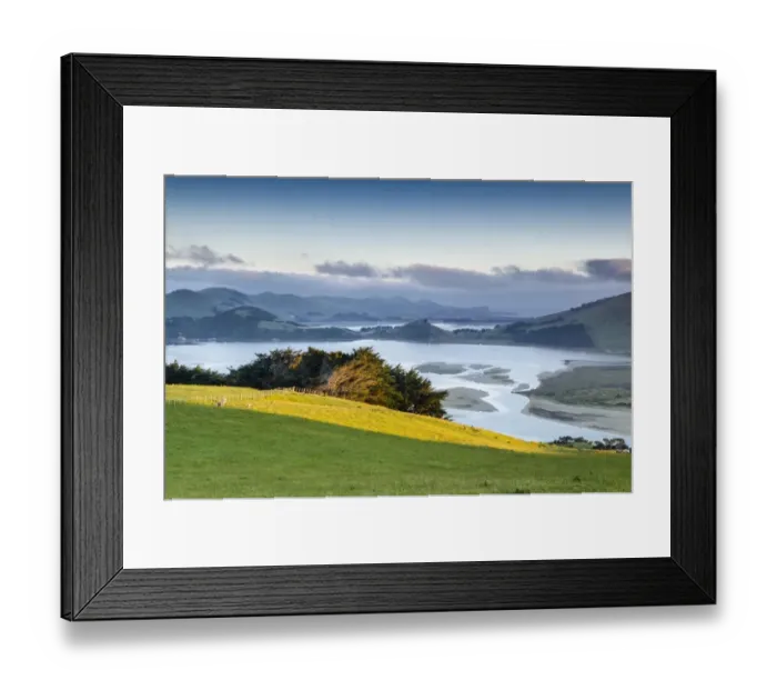 Framed Print : Saturated green pasture in front of tidal inlet, Hoopers Inlet, Otago Region, South Island, New Zealand Framed Print : Saturated green pasture in front of tidal inlet, Hoopers Inlet, Otago Region, South Island, New Zealand