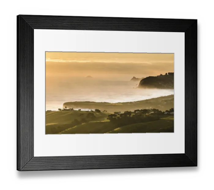 Framed Print : Coast at Otago, South Island, New Zealand, Oceania