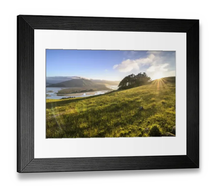 Framed Print : Grassland, Hoopers Inlet at the back, a bay on the Otago Peninsula, South Island, New Zealand, Oceania Framed Print : Grassland, Hoopers Inlet at the back, a bay on the Otago Peninsula, South Island, New Zealand, Oceania