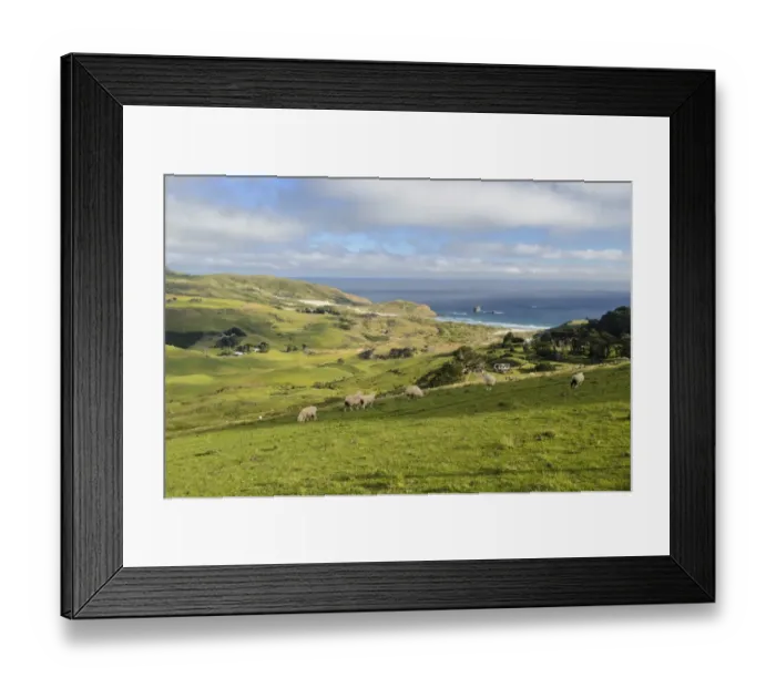 Framed Print : Grassland and the beach of Sandfly Bay, Otago Peninsula, South Island, New Zealand, Oceania Framed Print : Grassland and the beach of Sandfly Bay, Otago Peninsula, South Island, New Zealand, Oceania
