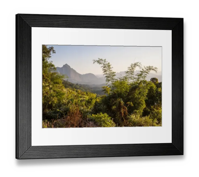 Framed Print : Bamboo -Bambuseae-, mountains, province of Mae Hong Song, Northern Thailand, Thailand Framed Print : Bamboo -Bambuseae-, mountains, province of Mae Hong Song, Northern Thailand, Thailand