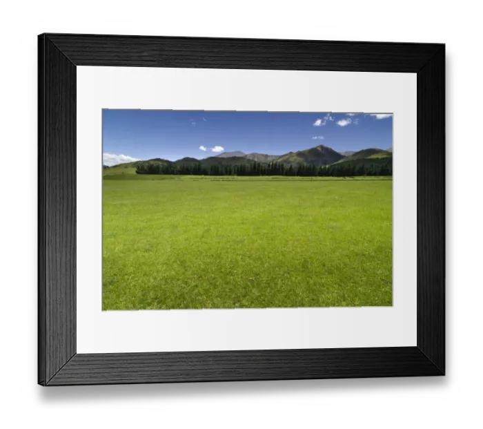Framed Print : Green pasture, mountain range in the Canterbury Highlands at the back, South Island, New Zealand