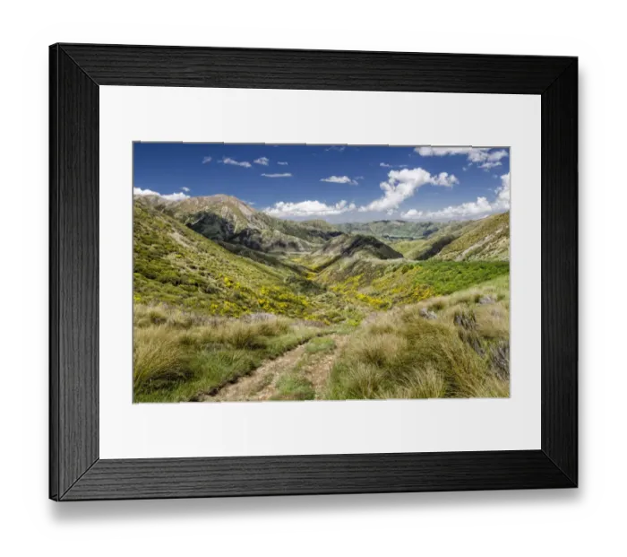 Framed Print : Path across the hills, Craigieburn Range, Porters Pass, Canterbury, South Island, New Zealand, Oceania Framed Print : Path across the hills, Craigieburn Range, Porters Pass, Canterbury, South Island, New Zealand, Oceania
