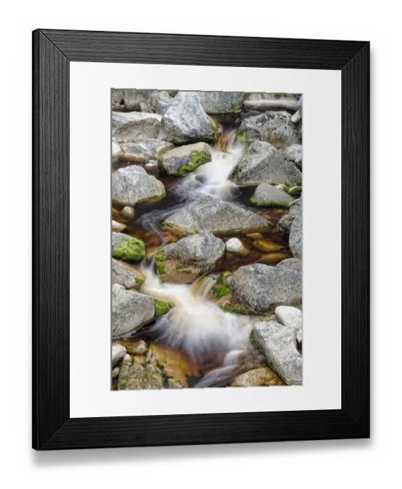 Framed Print : Stream with brown water, coloured by plant tannins, condensed proanthocyanidins, Karamea, Kohaihai, South Island, New Zealand, Oceania Framed Print : Stream with brown water, coloured by plant tannins, condensed proanthocyanidins, Karamea, Kohaihai, South Island, New Zealand, Oceania