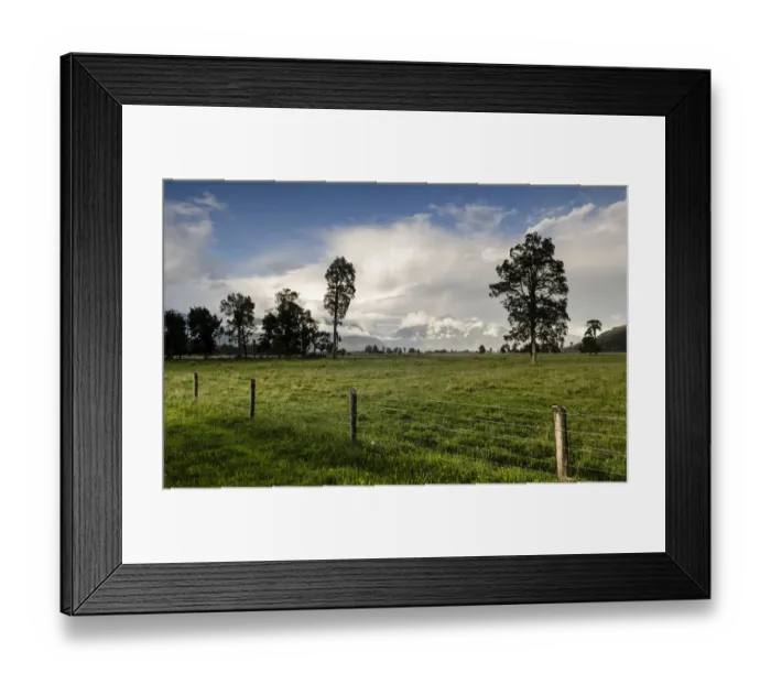 Framed Print : Electric fence and a large sheep pasture, against the backdrop of the Southern Alps, Fox Glacier, storm clouds with a rainbow, South Island, New Zealand Framed Print : Electric fence and a large sheep pasture, against the backdrop of the Southern Alps, Fox Glacier, storm clouds with a rainbow, South Island, New Zealand