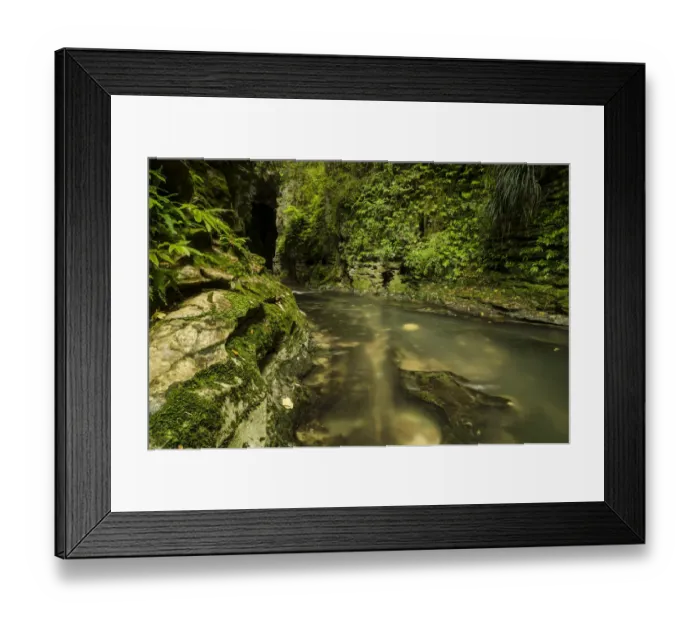 Framed Print : Stream in Ruakuri Bush and Scenic Reserve, Waitomo, King Country, North Island, New Zealand Framed Print : Stream in Ruakuri Bush and Scenic Reserve, Waitomo, King Country, North Island, New Zealand
