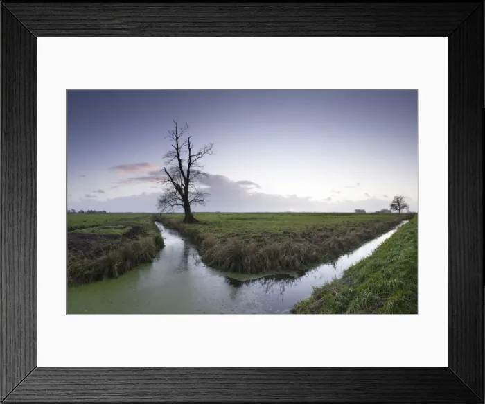 Framed Print : Wesermarsch marsh, landscape near Bremerhaven, Germany, Lower Saxony, Europe Framed Print : Wesermarsch marsh, landscape near Bremerhaven, Germany, Lower Saxony, Europe