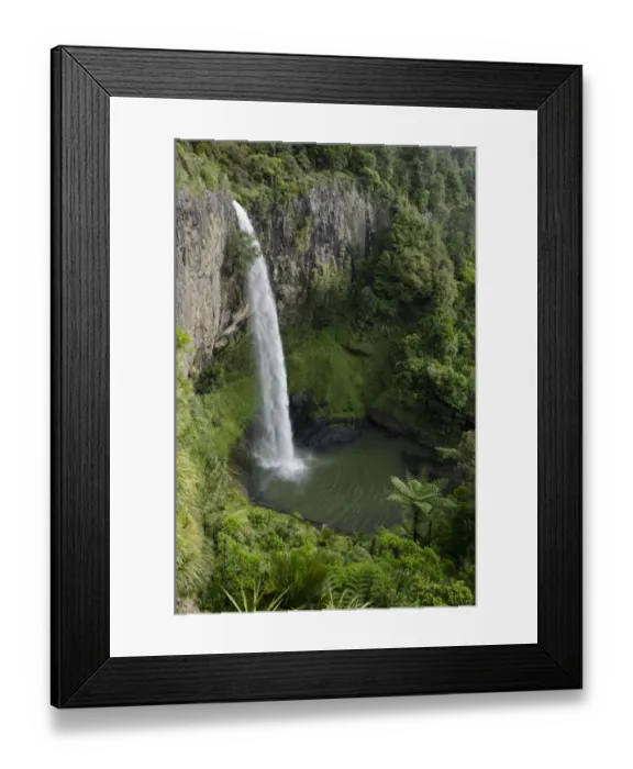 Framed Print : Bridal Veil Falls, Raglan, Waikato, North Island, New Zealand Framed Print : Bridal Veil Falls, Raglan, Waikato, North Island, New Zealand