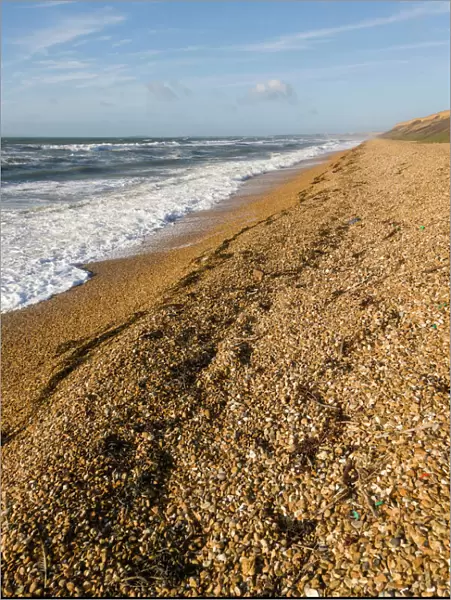 Sea coast, Milford on Sea, Hampshire, England, United Kingdom