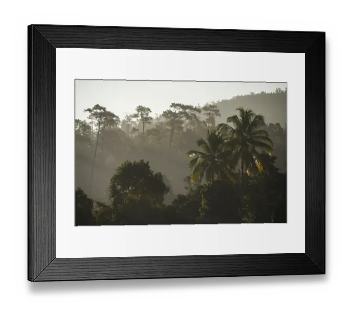 Framed Print : Backlit jungle at sunrise, Pang Mapha or Soppong region, Mae Hong Son province, northern Thailand, Thailand, Asia Framed Print : Backlit jungle at sunrise, Pang Mapha or Soppong region, Mae Hong Son province, northern Thailand, Thailand, Asia