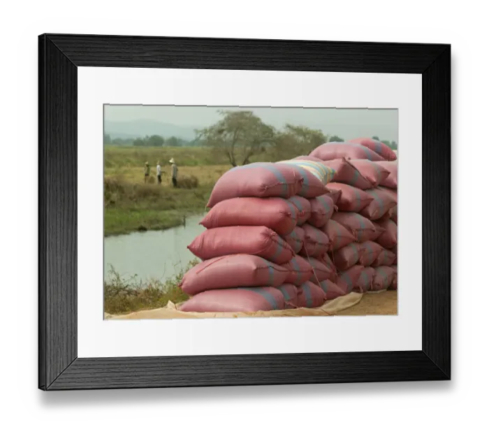 Framed Print : Rice bags waiting to be transported, Battambang, Cambodia, Southeast Asia Framed Print : Rice bags waiting to be transported, Battambang, Cambodia, Southeast Asia