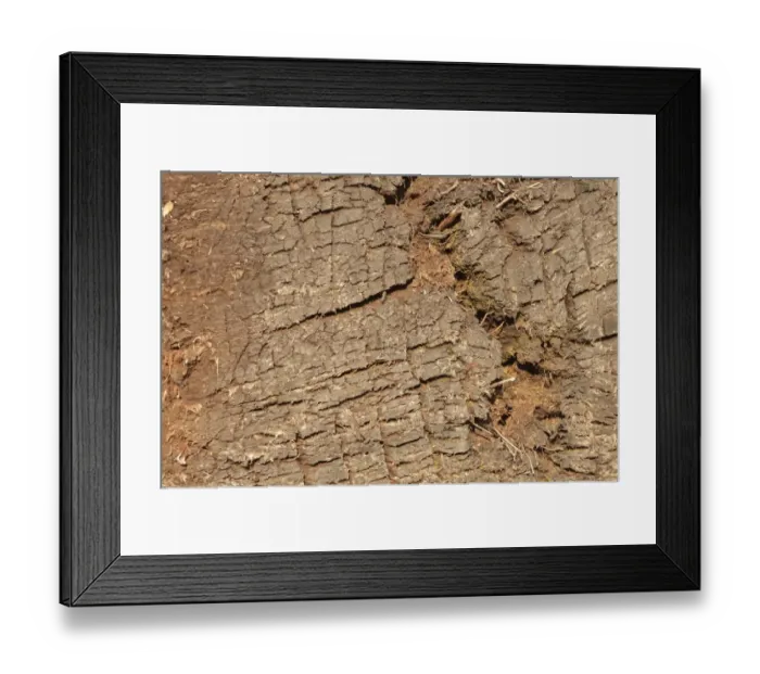 Framed Print : Dry peat-cutting site in Raubling, Bavaria, Germany, Europe Framed Print : Dry peat-cutting site in Raubling, Bavaria, Germany, Europe