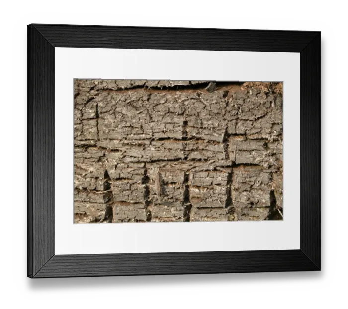 Framed Print : Dry peat-cutting site in Raubling, Bavaria, Germany, Europe Framed Print : Dry peat-cutting site in Raubling, Bavaria, Germany, Europe