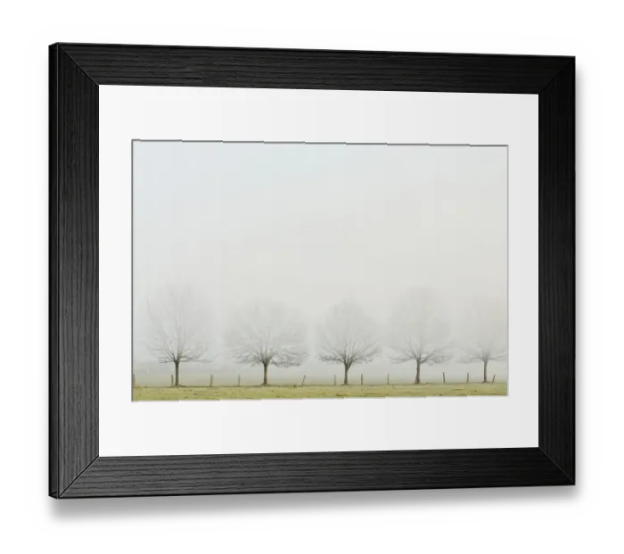 Framed Print : Bare row of trees in fog, Rheinberg, Lower Rhine region, North Rhine-Westphalia, Germany Framed Print : Bare row of trees in fog, Rheinberg, Lower Rhine region, North Rhine-Westphalia, Germany