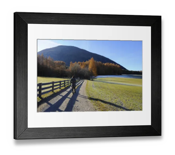 Framed Print : Lonely walk of a woman in an autumnal landscape, Mieminger Plateau, Tyrol, Austria, Europe Framed Print : Lonely walk of a woman in an autumnal landscape, Mieminger Plateau, Tyrol, Austria, Europe