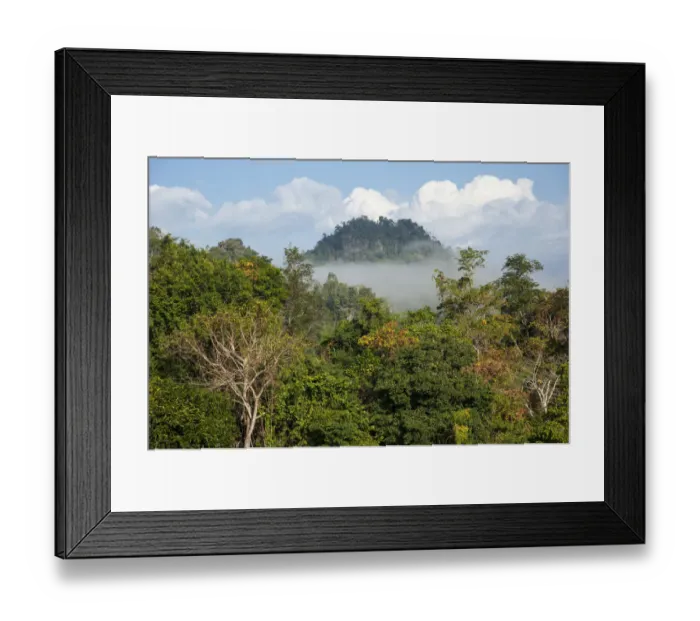 Framed Print : Landscape with mist, forest, jungle, northern Thailand, Thailand, Asia Framed Print : Landscape with mist, forest, jungle, northern Thailand, Thailand, Asia
