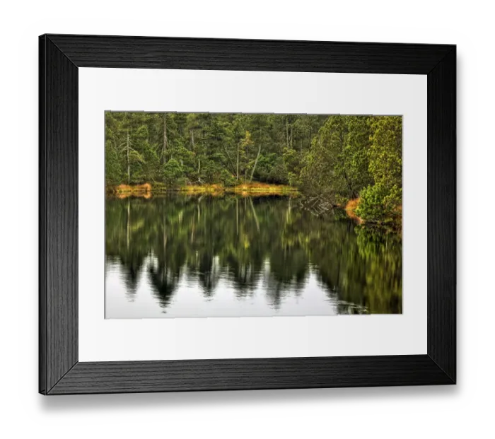 Framed Print : Great Moss Lake or Velke mechove jezirko, National Nature Reserve Rejviz, Jeseniky Protected Landscape Area, Jesenik district, Olomoucky region, Czech Republic Framed Print : Great Moss Lake or Velke mechove jezirko, National Nature Reserve Rejviz, Jeseniky Protected Landscape Area, Jesenik district, Olomoucky region, Czech Republic