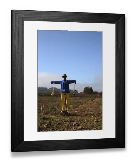 Framed Print : Scarecrow in the field, Upper Swabia, Baden-Wuerttemberg, Germany, Europe Framed Print : Scarecrow in the field, Upper Swabia, Baden-Wuerttemberg, Germany, Europe