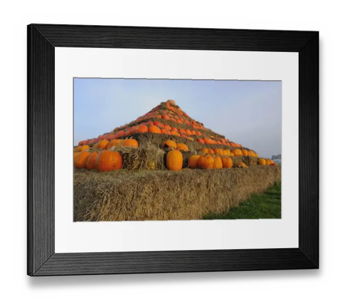 Framed Print : Pyramid of pumpkins Framed Print : Pyramid of pumpkins