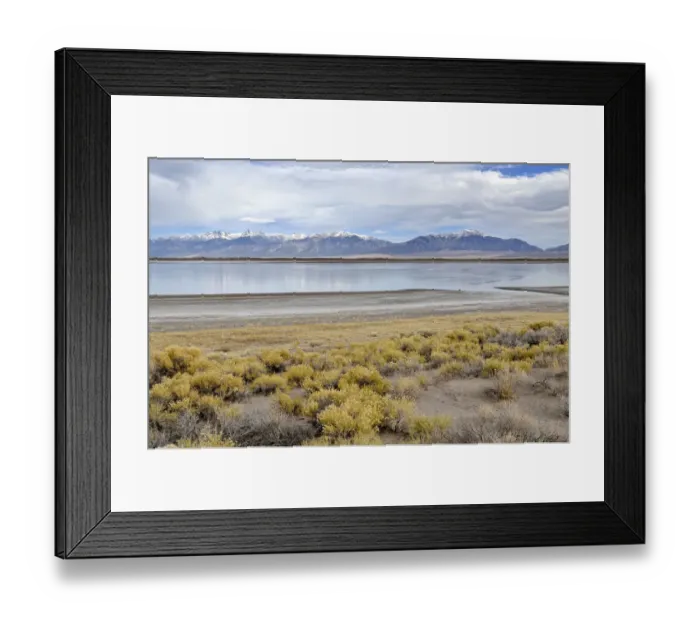 Framed Print : San Luis Lake, San Luis Lakes State Park, with Sangre de Christo Mountains at the rear, Mosca, Colorado, USA Framed Print : San Luis Lake, San Luis Lakes State Park, with Sangre de Christo Mountains at the rear, Mosca, Colorado, USA