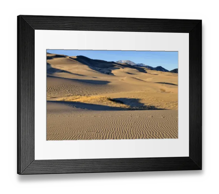 Framed Print : Great Sand Dunes National Park in the evening light, Mount Herard at the back, Mosca, Colorado, USA Framed Print : Great Sand Dunes National Park in the evening light, Mount Herard at the back, Mosca, Colorado, USA
