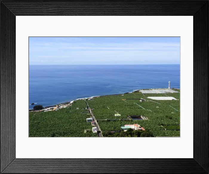 Framed Print : Banana plantation near La bombilla, La Palma, Canary Islands, Spain, Europe, PublicGround Framed Print : Banana plantation near La bombilla, La Palma, Canary Islands, Spain, Europe, PublicGround