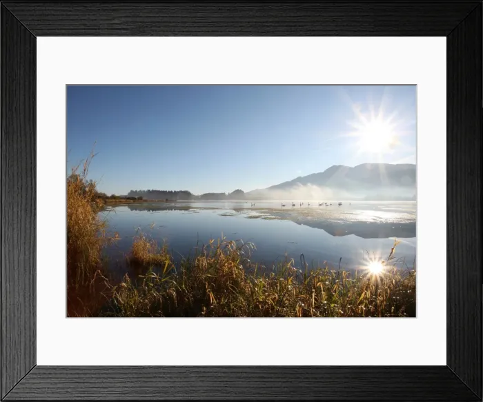 Framed Print : Autumnal atmosphere on Gruentensee Lake, near Nesselwang, Ostallgaeu, Allgaeu, Bavaria, Germany, Europe Framed Print : Autumnal atmosphere on Gruentensee Lake, near Nesselwang, Ostallgaeu, Allgaeu, Bavaria, Germany, Europe