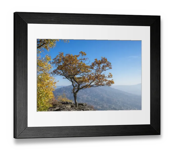 Framed Print : Battertfelsen rocks in autumn, Battert mountain, Schwarzwald, Baden-Baden, Baden-Wurttemberg, Germany Framed Print : Battertfelsen rocks in autumn, Battert mountain, Schwarzwald, Baden-Baden, Baden-Wurttemberg, Germany