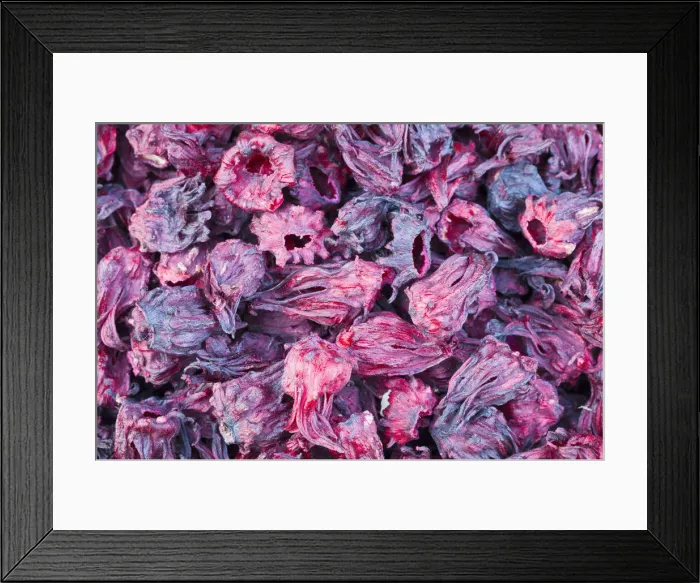 Framed Print : Dried hibiscus flowers from Egypt Framed Print : Dried hibiscus flowers from Egypt