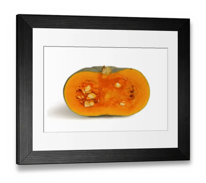 Framed Print : Cut open squash of the Blue Hungarian, Bleu dHongrie variety