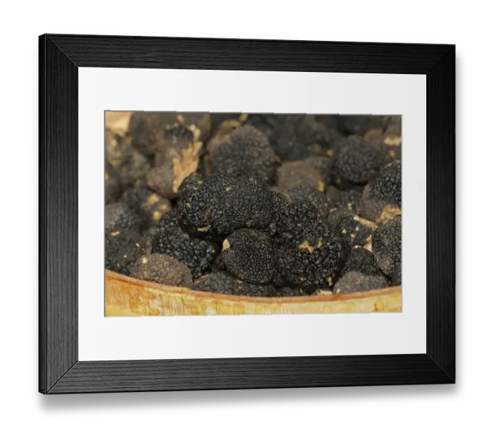 Framed Print : Burgundy Truffles -Tuber uncinatum- in basket, Switzerland, Europe Framed Print : Burgundy Truffles -Tuber uncinatum- in basket, Switzerland, Europe