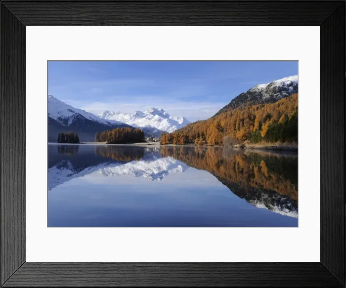 Framed Print : Lake Champfer with larch forest with autumnal colouring, Mt Piz da la Margna at back, St. Moritz, Engadine, Grisons, Switzerland, Europe Framed Print : Lake Champfer with larch forest with autumnal colouring, Mt Piz da la Margna at back, St. Moritz, Engadine, Grisons, Switzerland, Europe