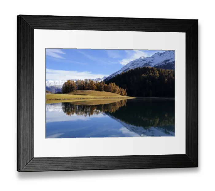 Framed Print : Lake Champfer with larch forest with autumnal colouring, St. Moritz, Engadine, Grisons, Switzerland, Europe Framed Print : Lake Champfer with larch forest with autumnal colouring, St. Moritz, Engadine, Grisons, Switzerland, Europe
