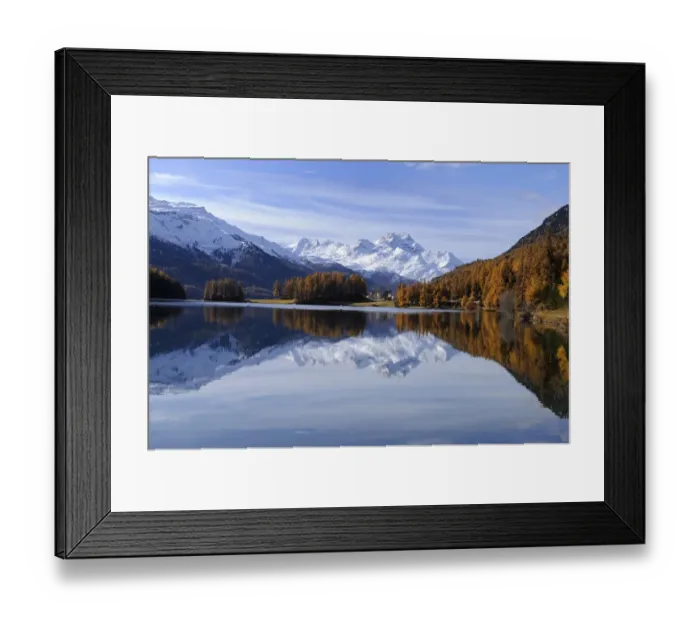 Framed Print : Lake Champfer with larch forest with autumnal colouring, St. Moritz, Engadine, Grisons, Switzerland, Europe Framed Print : Lake Champfer with larch forest with autumnal colouring, St. Moritz, Engadine, Grisons, Switzerland, Europe