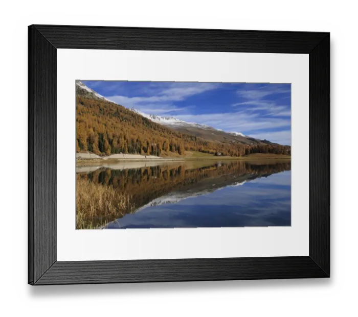 Framed Print : Lake Champfer with larch forest with autumnal colouring, St. Moritz, Engadine, Grisons, Switzerland, Europe Framed Print : Lake Champfer with larch forest with autumnal colouring, St. Moritz, Engadine, Grisons, Switzerland, Europe