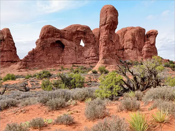 Parade of Elephants, rock formation of red sandstone, Arches National Park, Moab, Utah, USA