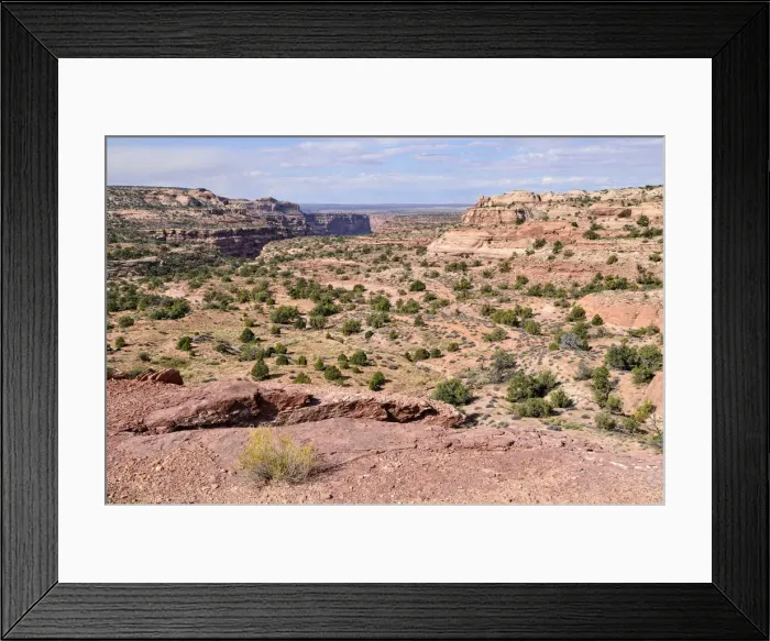 Framed Print : Island in the Sky, Canyonlands National Park, Moab, Utah, USA Framed Print : Island in the Sky, Canyonlands National Park, Moab, Utah, USA
