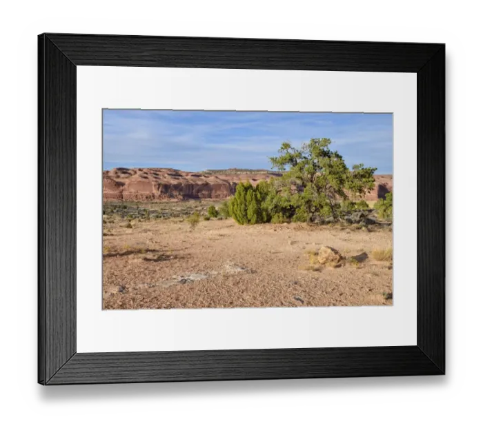 Framed Print : Sandstone landscape, Big Mesa, Canyonlands, Moab, Utah, USA Framed Print : Sandstone landscape, Big Mesa, Canyonlands, Moab, Utah, USA