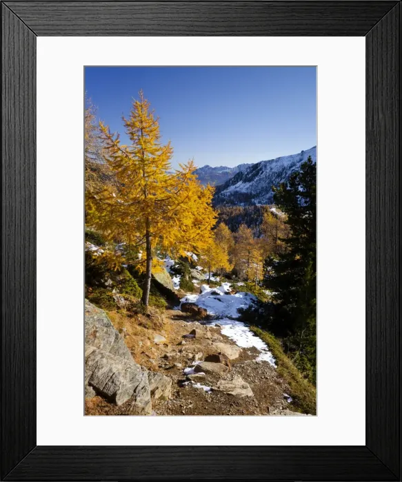 Framed Print : Mountain climber during the ascent to Hoechster Huette hut in Ulten Valley above Weissbrunnsee lake, Alto Adige, Italy, Europe