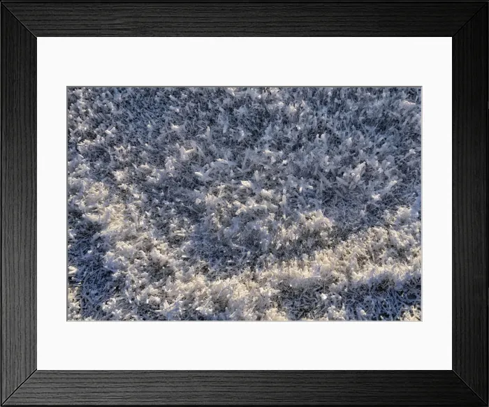 Framed Print : Salt crystals, shore region of the Great Salt Lake, Salt Lake City, Utah, USA Framed Print : Salt crystals, shore region of the Great Salt Lake, Salt Lake City, Utah, USA