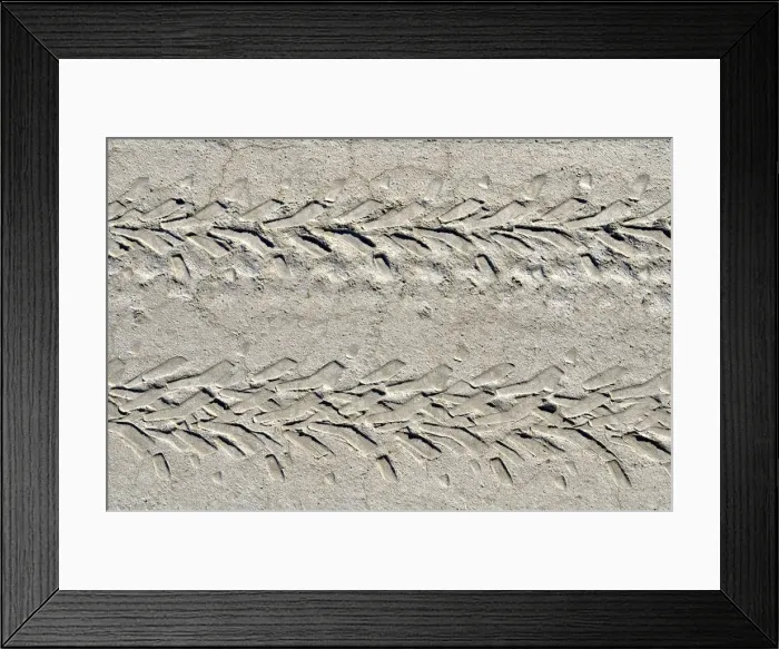 Framed Print : Tyre tracks, Bonneville Speedway, Great Salt Lake Desert, Wendover, Utah, USA Framed Print : Tyre tracks, Bonneville Speedway, Great Salt Lake Desert, Wendover, Utah, USA