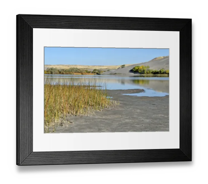 Framed Print : Branch of the Great Dune Lake, Bruneau Dunes State Park, Bruneau, Idaho, USA Framed Print : Branch of the Great Dune Lake, Bruneau Dunes State Park, Bruneau, Idaho, USA