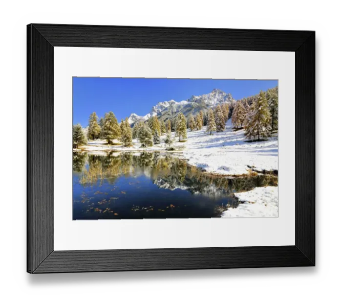 Framed Print : Lake Schwarzsee or Lai Nair with snow-covered larch forest, Tarasp, Engadin, Graubunden, Switzerland Framed Print : Lake Schwarzsee or Lai Nair with snow-covered larch forest, Tarasp, Engadin, Graubunden, Switzerland