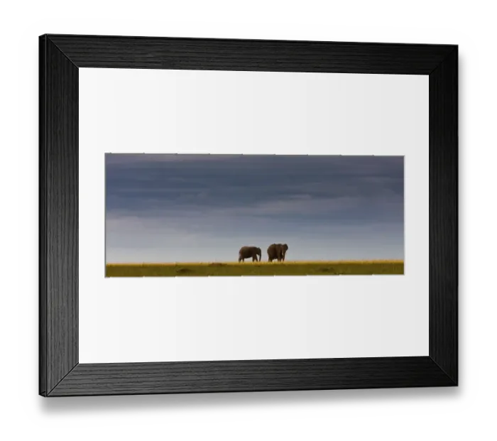 Framed Print : African elephants -Loxodonta africana- on the horizon, Masai Mara National Reserve, Kenya, East Africa, PublicGround Framed Print : African elephants -Loxodonta africana- on the horizon, Masai Mara National Reserve, Kenya, East Africa, PublicGround